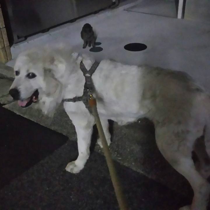 9bb2513b 1dbe 4cc6 b503 f10a57623f62