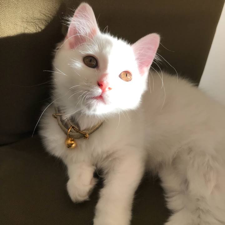 9bb25b3e 28a6 49dc ac1b 59b8740859a1