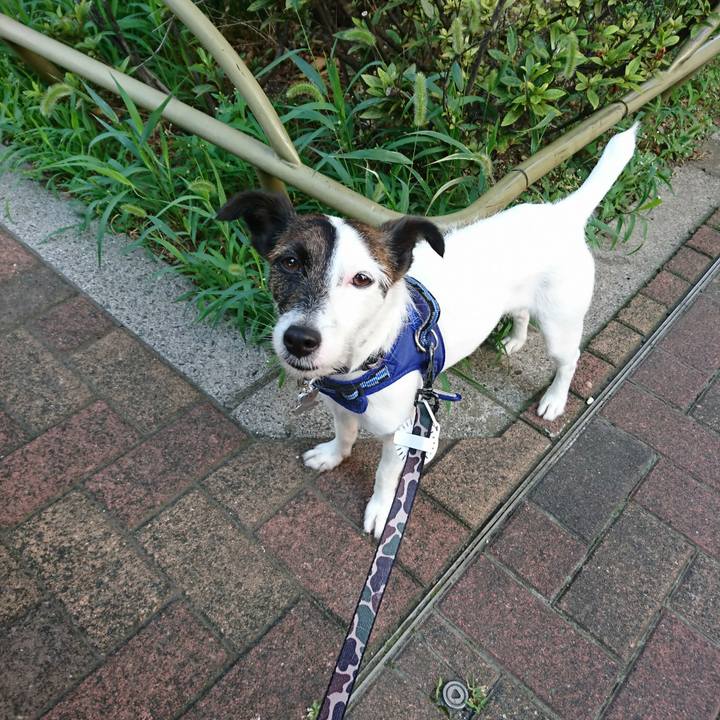 9bb26dfb 60b9 47d7 af1a d64c85a09d28