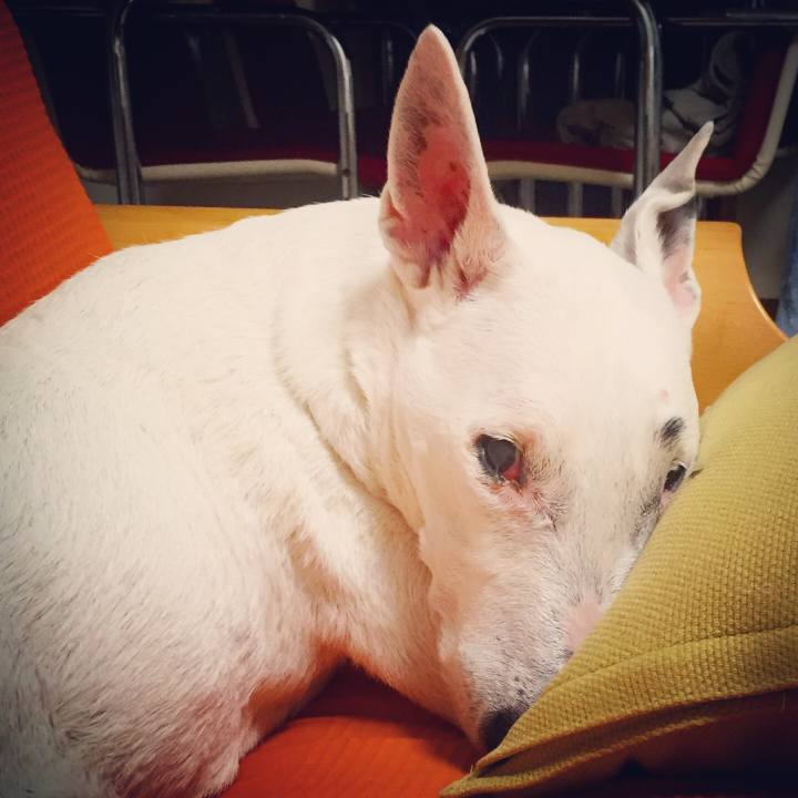 9bb33612 6884 4c77 81f1 f51f9becc352