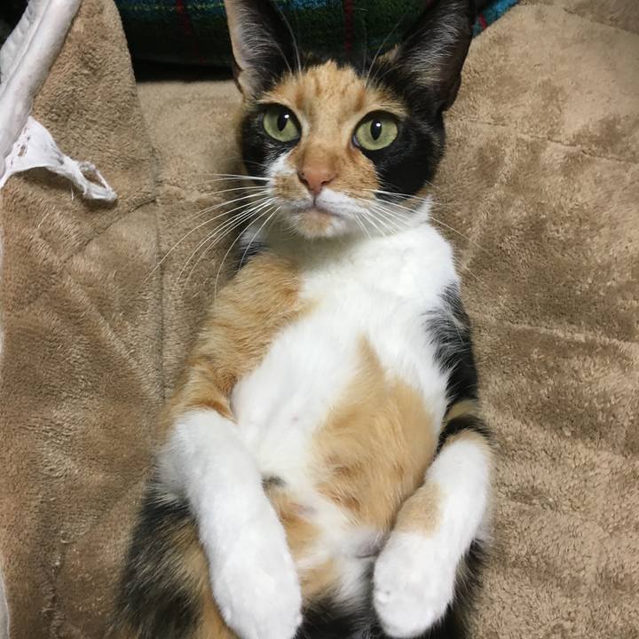 9bb36ab4 3d55 4db9 a813 bc8ac870644b