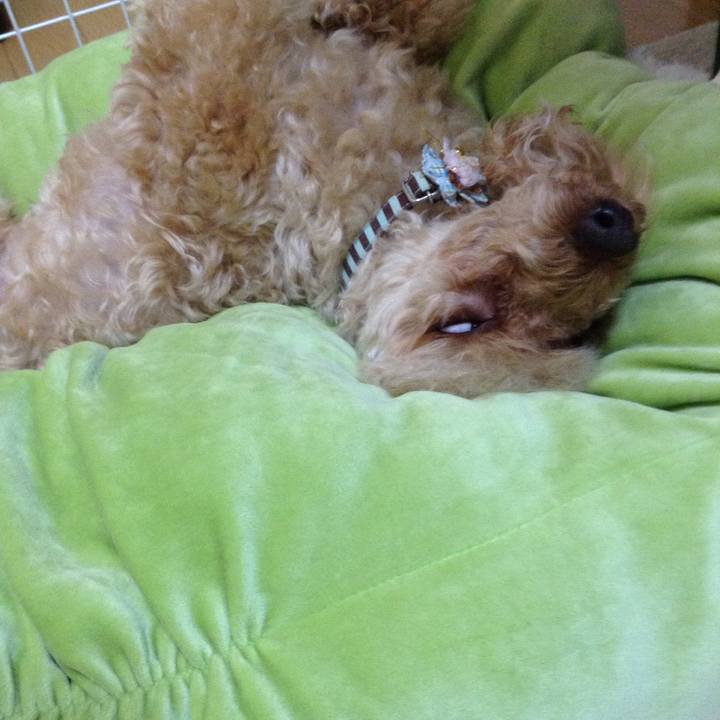 9bb4166e 2143 41f5 98cc 50d3443f5450