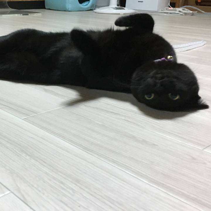 9bb41e10 5b91 47f3 9e23 e59908895254