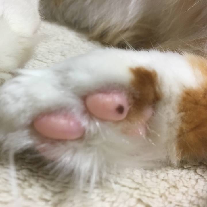 9bb49777 f896 483e 80d8 80a0305f45d0