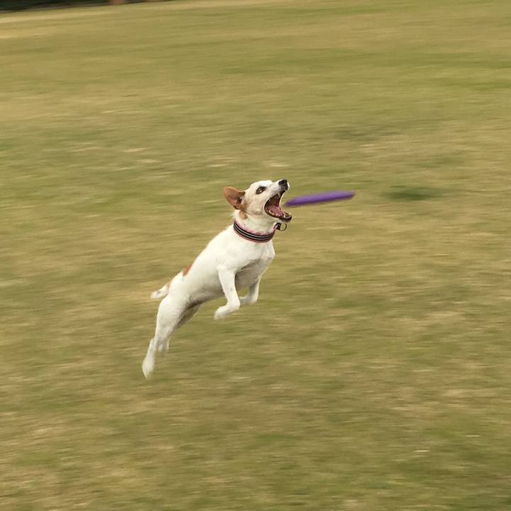 9bb4a1cc d922 44a5 8cd4 320fbb9ec864