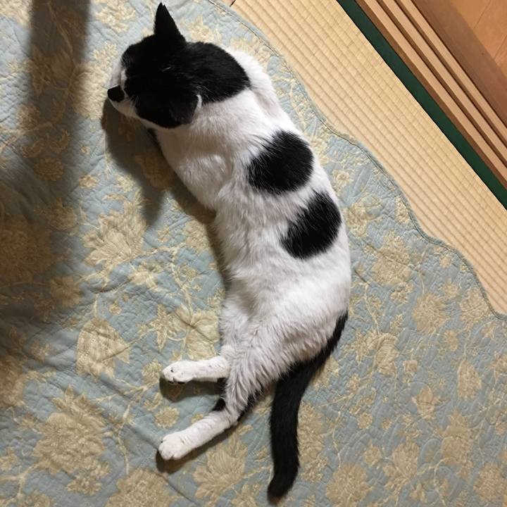 9bb4e3da bfb9 44d4 8a6b 368ba64cbc8e