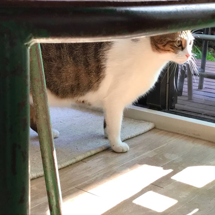 9bb4fc8b b4ec 45cd 86f6 d89028a1f837