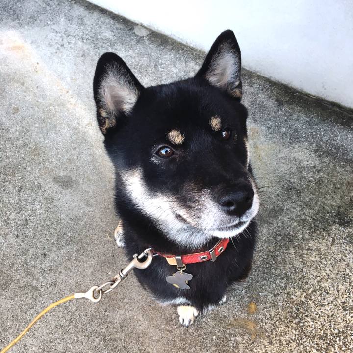 9bb5500f 8ad0 4e6b a6f4 7d97d278cb5f