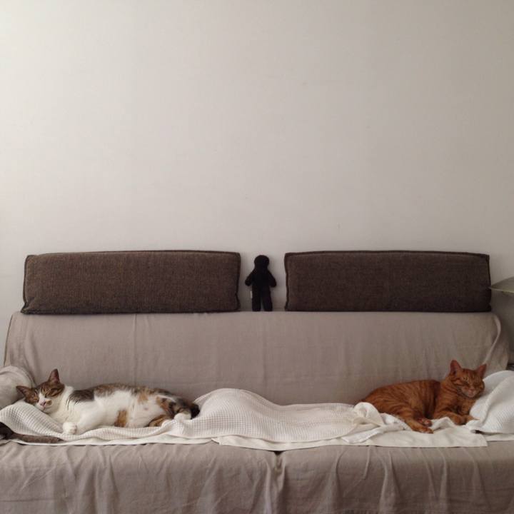 9bb55c6a ffc0 4c99 be9b d57505677bac