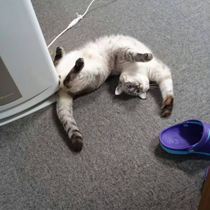 9bb5b9fd c865 4357 bc22 6a5eaacd5ebc