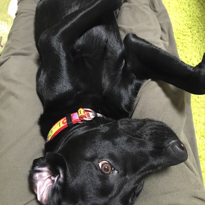 9bb5c625 6068 4301 81fd 9b82f901ecbb