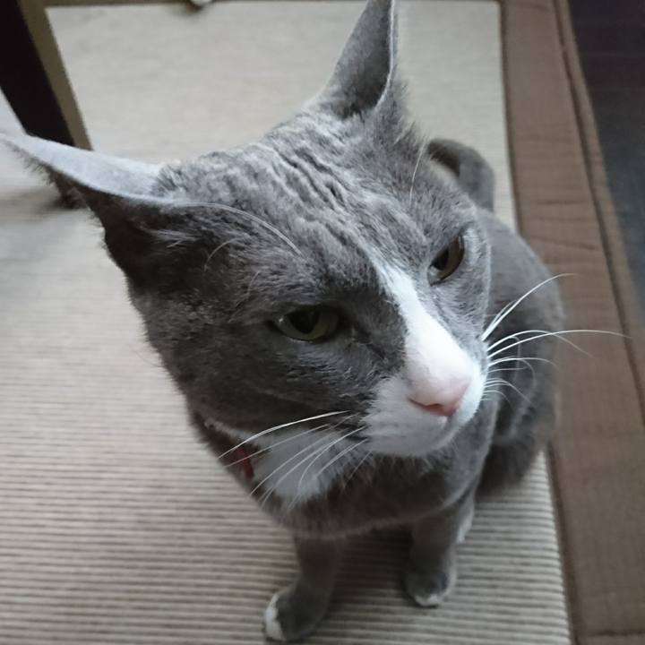 9bb6e580 fce9 4f94 b018 4c7de601f022