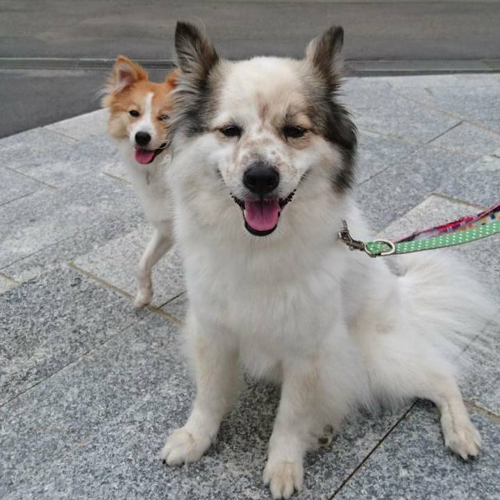 9bb6e721 4aab 4851 aa44 05b8127b602f