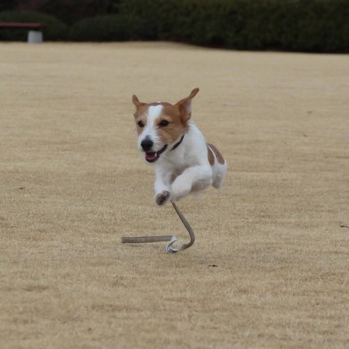 9bb749fb 8fb5 41ab 82eb 22456359e1aa