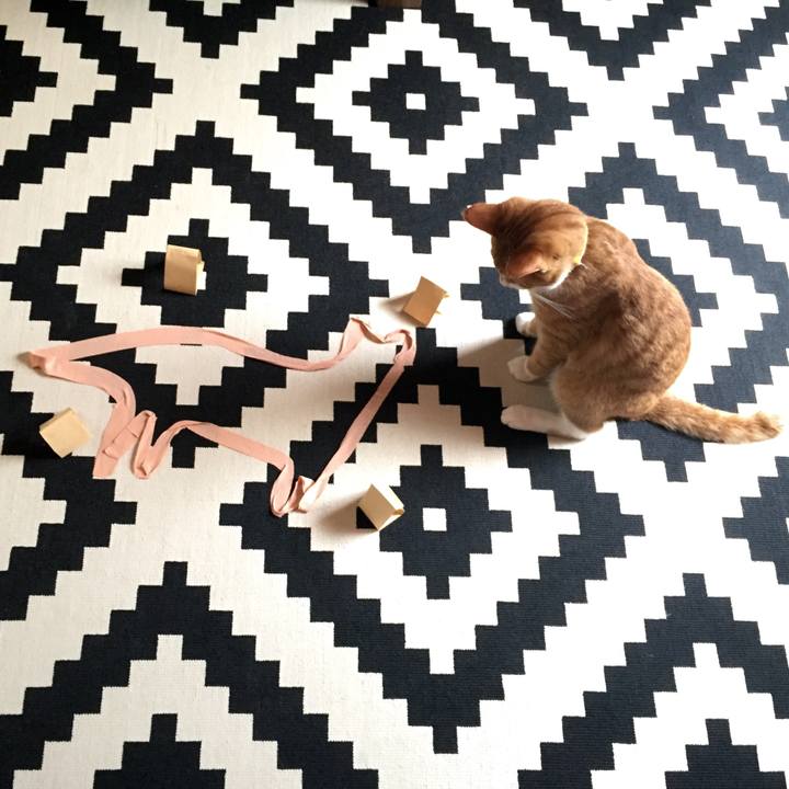 9bb7c633 35c4 4876 9352 fc1d40335f53