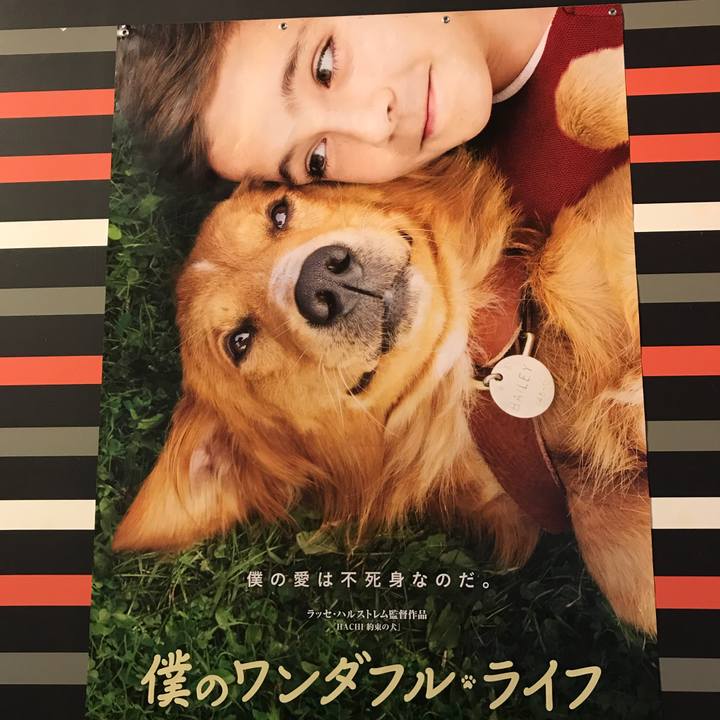 9bb813eb 5b96 4537 b8c2 3e022f6ea98a