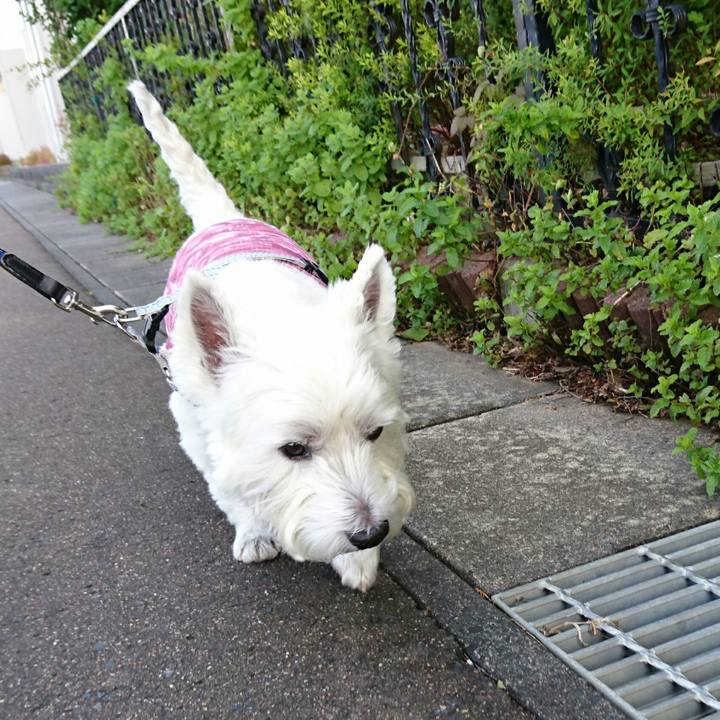 9bb840ca 3d44 49a1 96c6 1bb16853d800