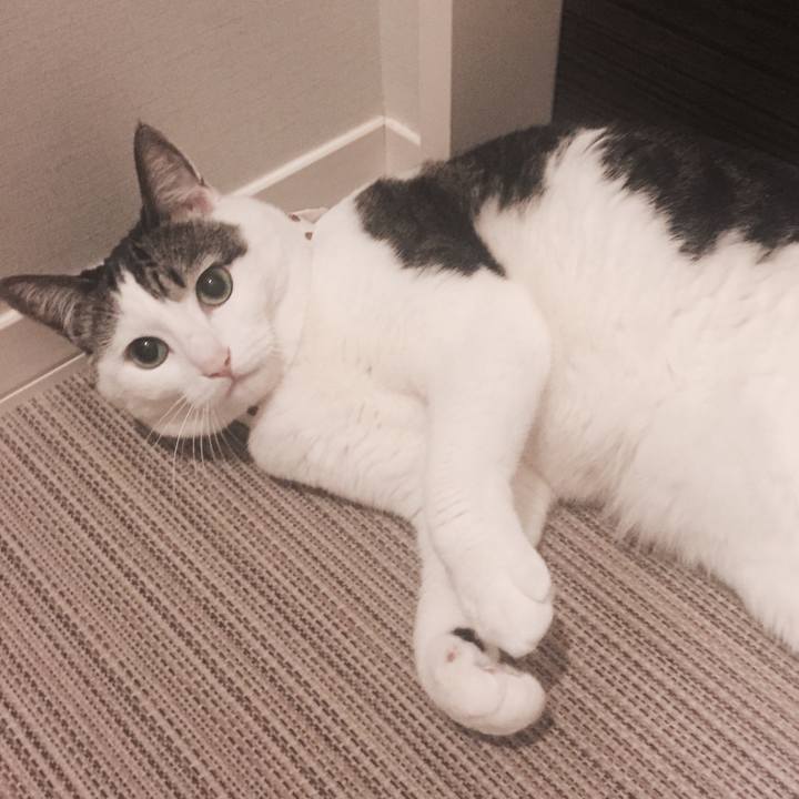 9bb85f2a 0a09 42aa 96e7 f3f821ebf92f