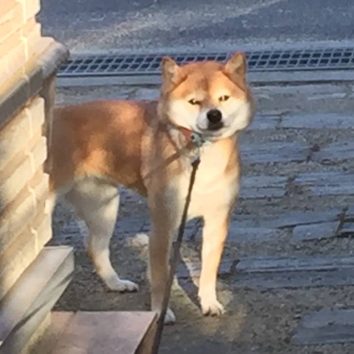 9bb87f01 6ab3 4139 b563 9ea023944e69