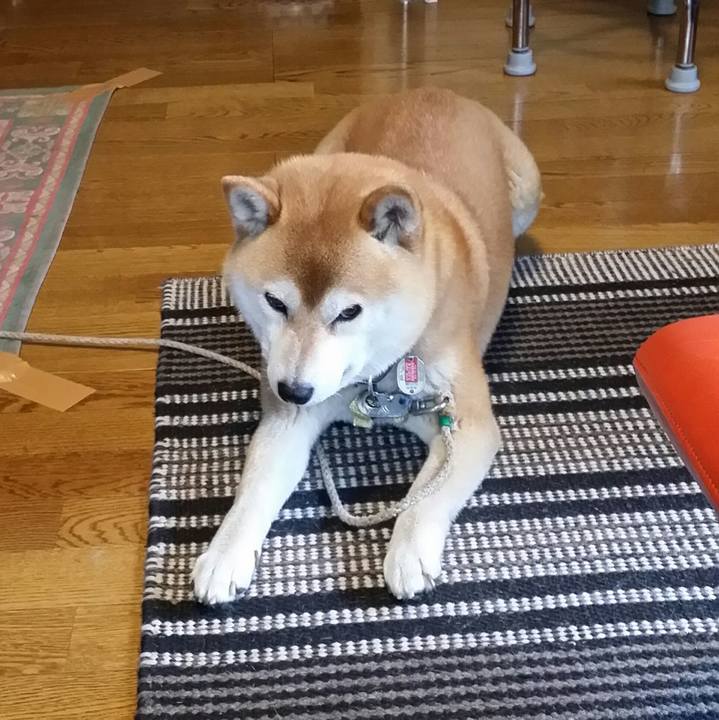 9bb933c6 ebbf 4d2c 9477 cde0807c674f