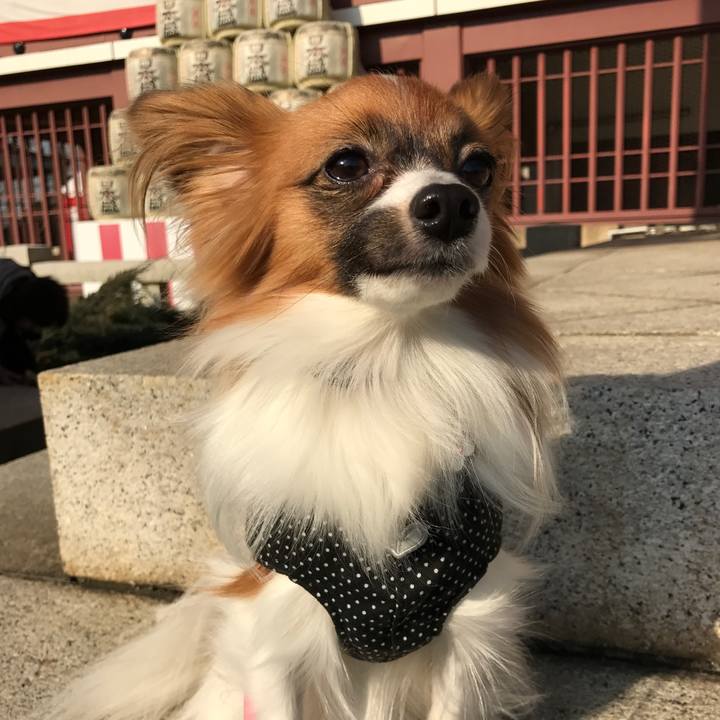 9bb96558 012e 4478 82c4 36199b055095