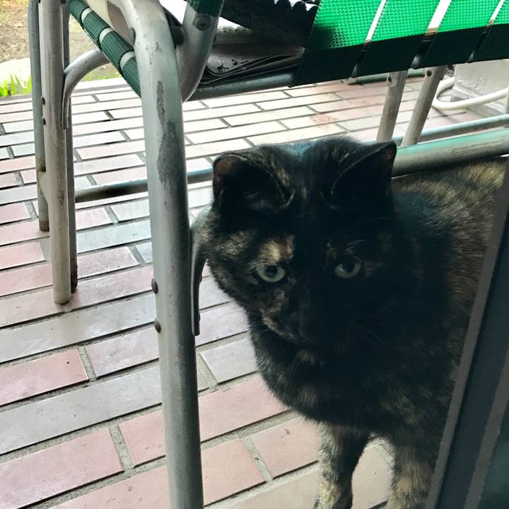 9bb984db 6872 4bd8 ac11 5b908580ff07