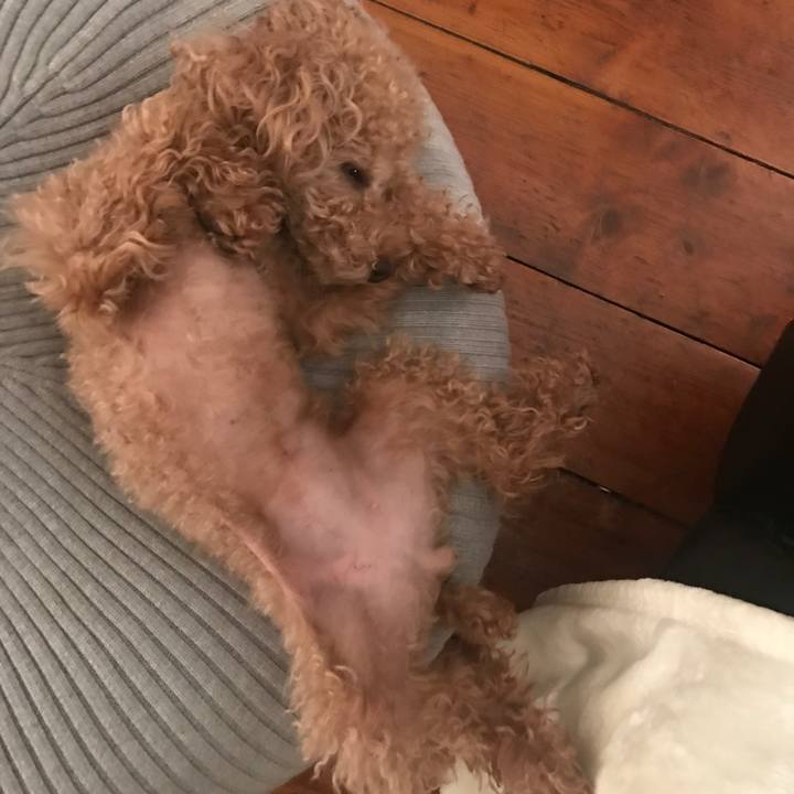 9bba0f55 c925 4974 9b94 a0281daccd5f