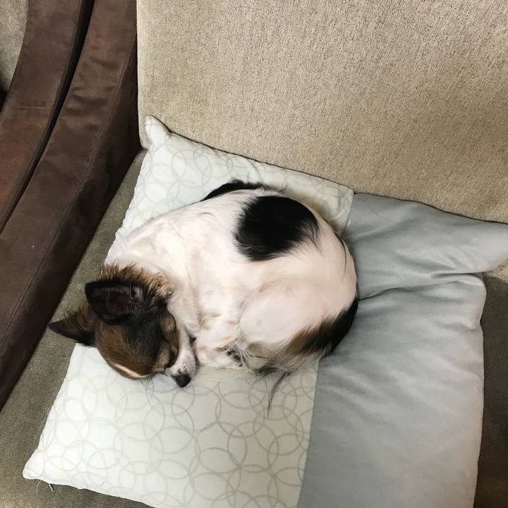 9bba349d 4a7b 46fe a098 6b96772832ef