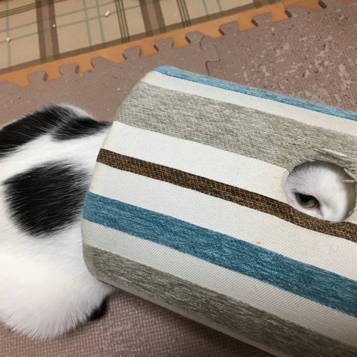 9bbafd04 db4f 4344 87a3 61a7838a7434