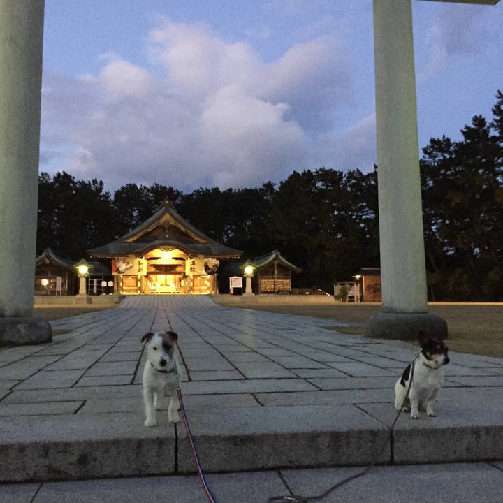 9bbb4d31 e1ac 4a1b 9b95 f140c0b1c098