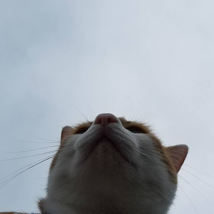 9bbb7599 f2fe 49cc 8800 0d5f5e3e995b