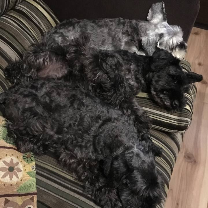 9bbbd504 ce4f 4708 becc 7cd94dc71f82