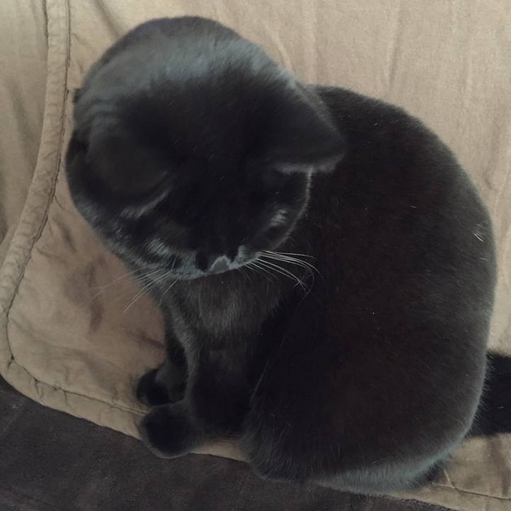 9bbc0ac9 c0cd 4ffa 9940 8b0c41d527ff