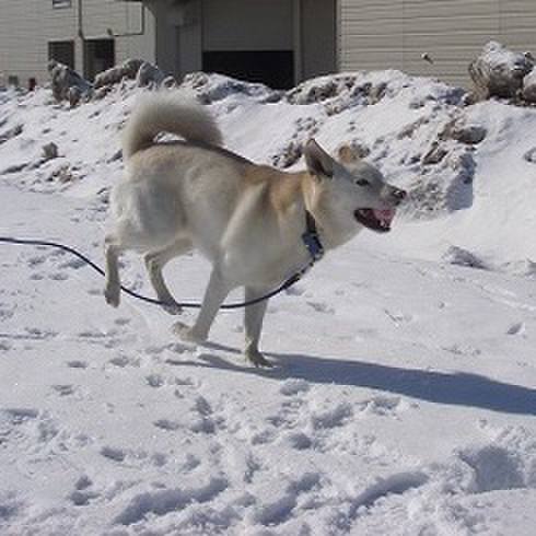 9bbc2a72 cc89 4c8c 8675 1c76a12162f8