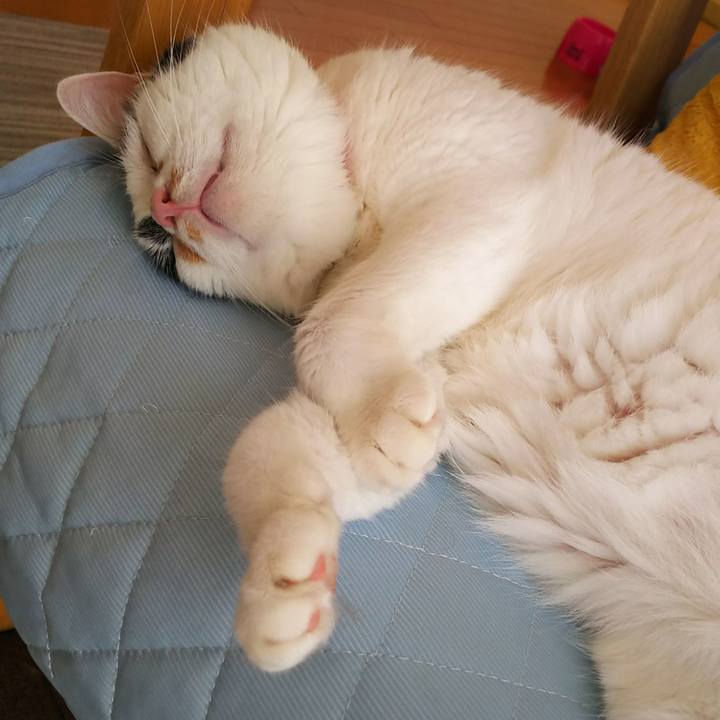 9bbc46dd b1f7 413b 817b 3af331946ebd