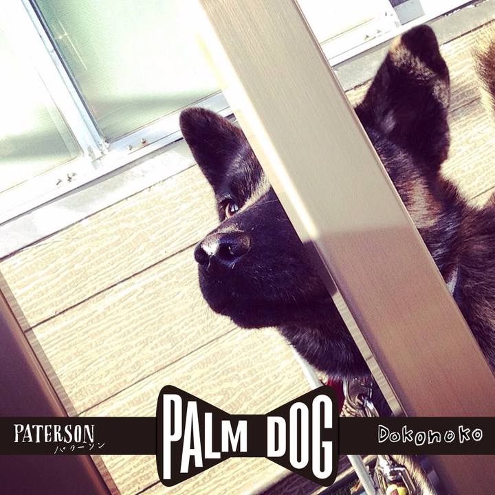 9bbc47a8 0ea8 4583 af5c 2f48db27bb24