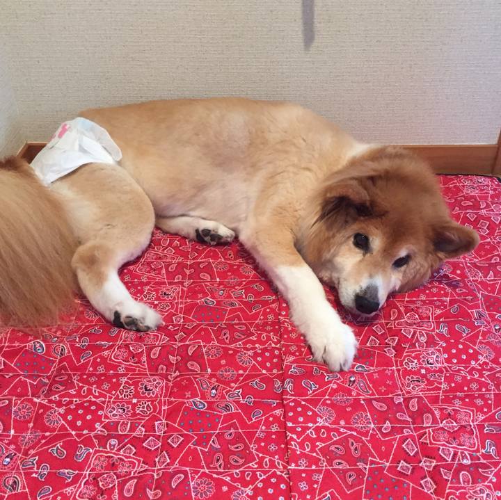 9bbd3e15 f053 4cda 9b83 463160c6c658