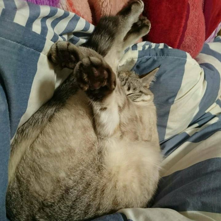 9bbd7bc2 3d78 44fe bcf5 eb2c4149c412