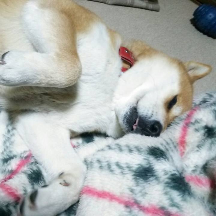 9bbdc9a3 c839 4907 8cb1 cdd72be638ed