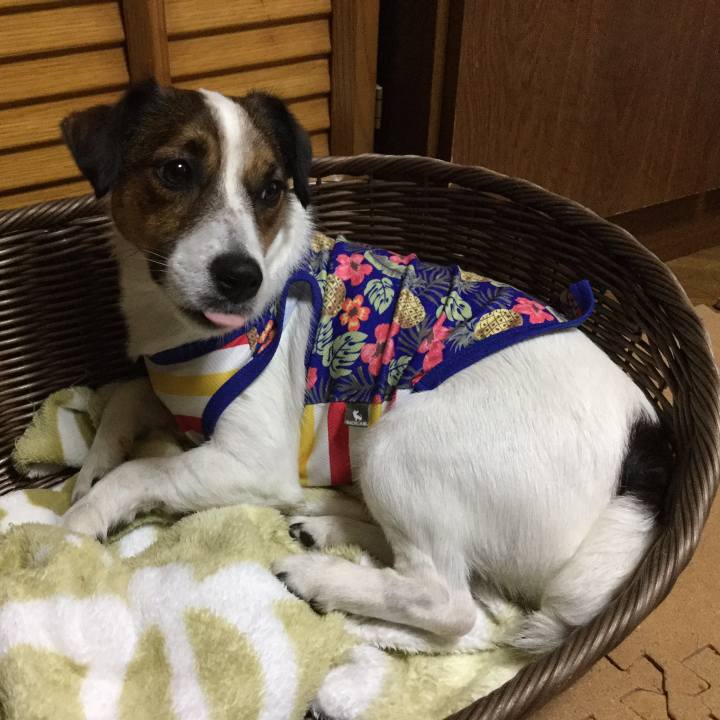 9bbe49d1 bdde 4e0a 9673 808960b7460a