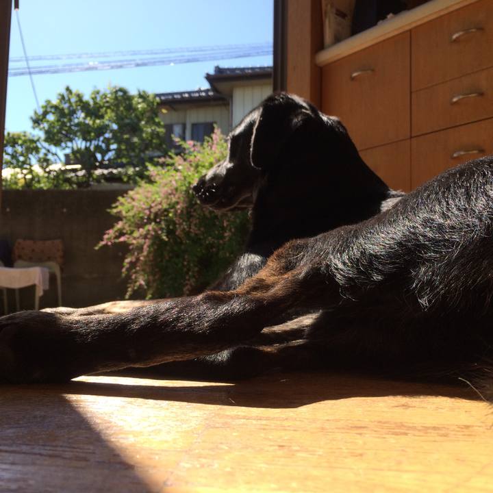 9bbe85dd 69bf 400f b6be d7e8ba5394fd