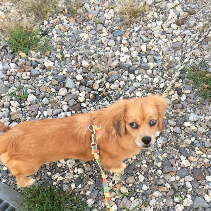 9bbe9db0 a8b4 4250 9fb9 d7c9e90d6696