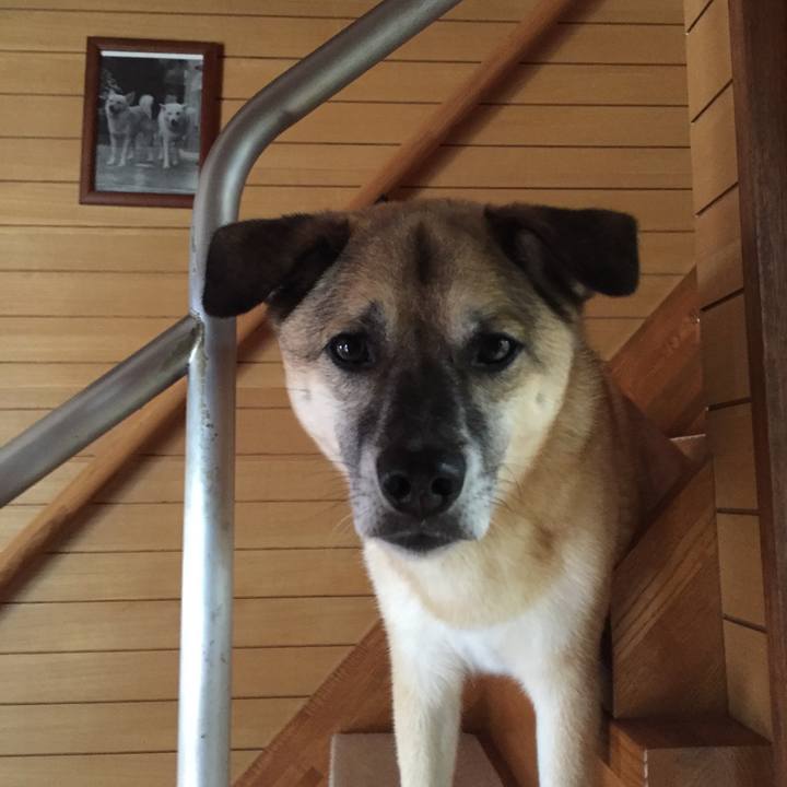 9bbea6c9 6e4c 46b9 b937 fa5a5de96228