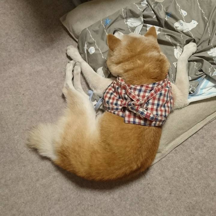 9bbed5a9 2973 47cf 9b45 b251da5d1898