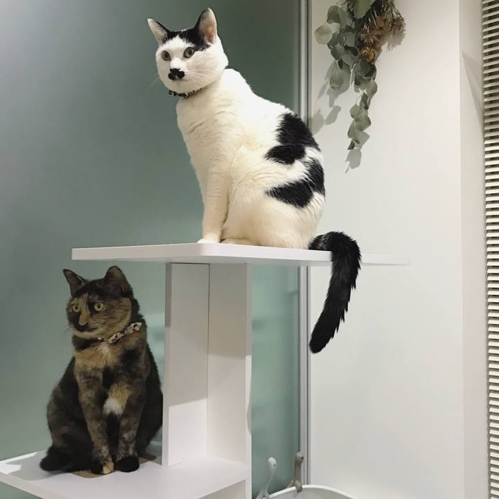 9bbf04fc 7551 4603 a7c4 7a4aa0edac59