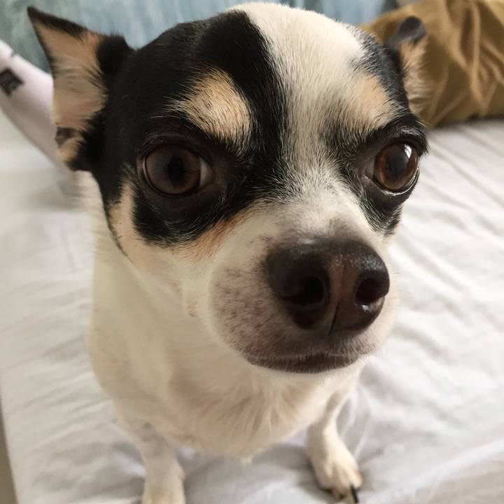 9bbf4ea8 78c3 460b 8f53 dc88dc15445c