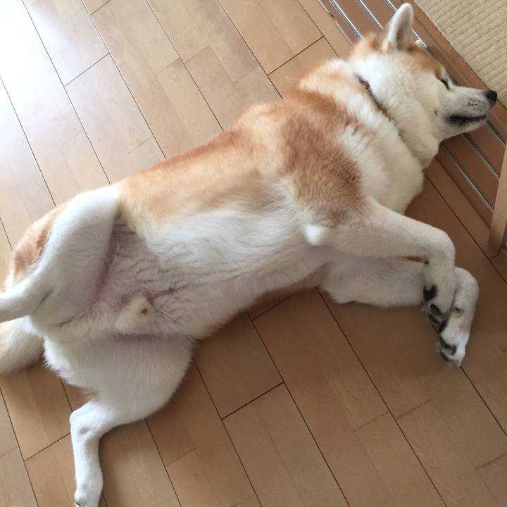 9bc01ec4 ae60 490d 8d47 f27ff2c0fd07