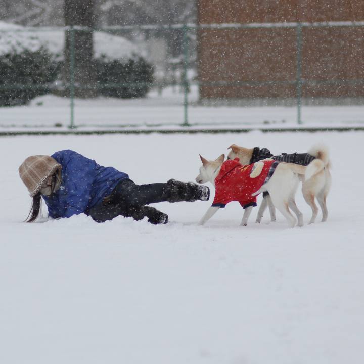 9bc072e0 82c3 4eb0 a440 4fb28c00b01a