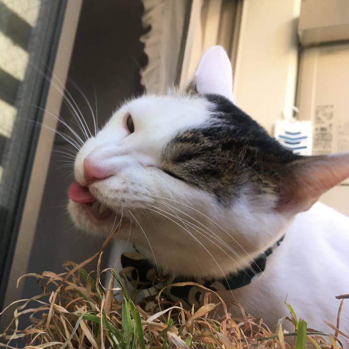 9bc0828c c770 46dc a7a7 5f2360201684