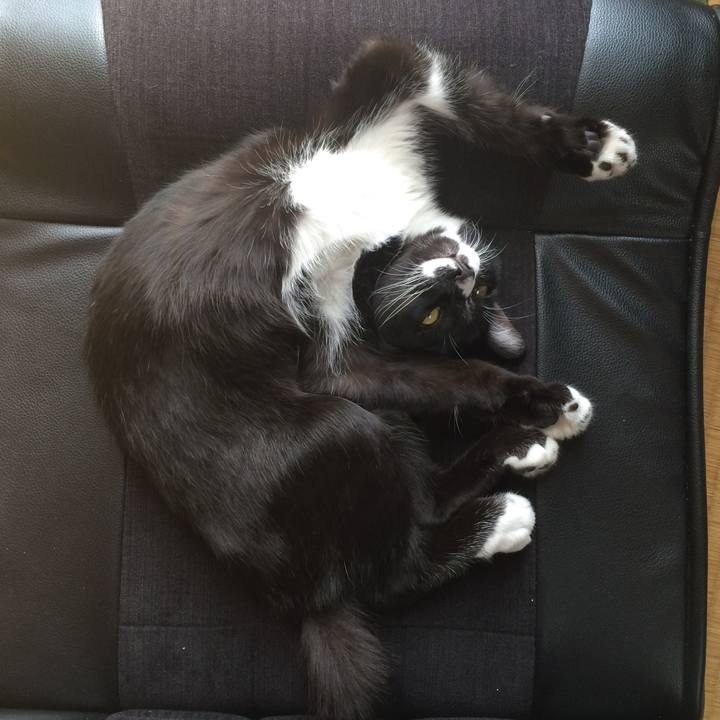 9bc0e5fc 9c4c 45f3 b058 75a9f426c2e0